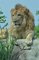 Kids_DZoo_Safari-I (116)